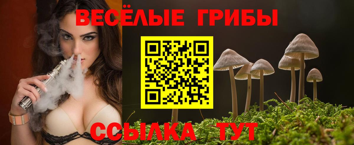 Галлюциногенные грибы ЛСД  Галлюциногенные грибы Psilocybine cubensis  Владикавказ  Вход с VPN 